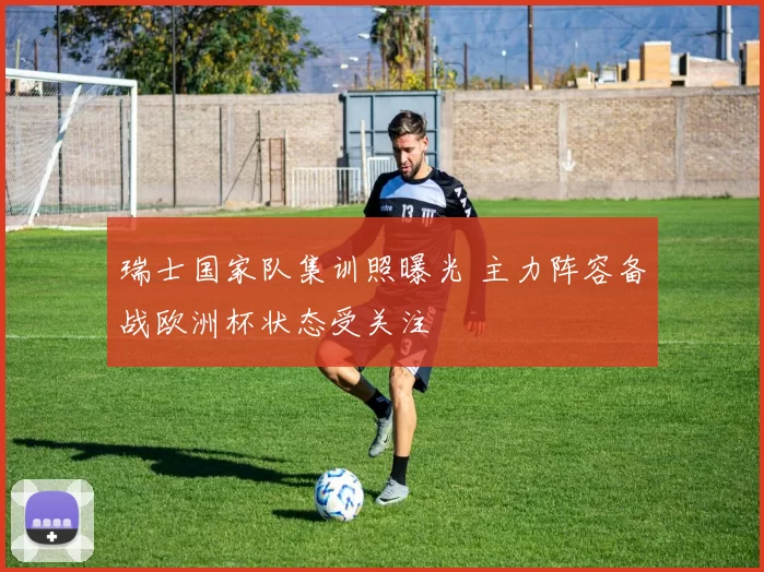 瑞士国家队集训照曝光 主力阵容备战欧洲杯状态受关注