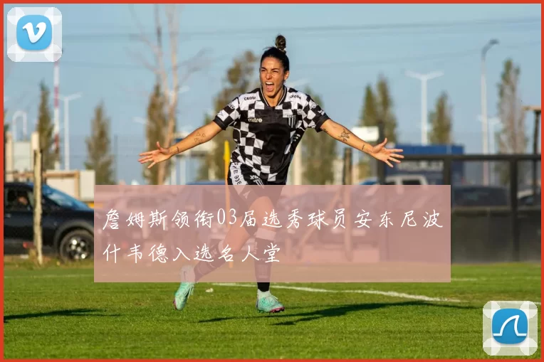 詹姆斯领衔03届选秀球员安东尼波什韦德入选名人堂