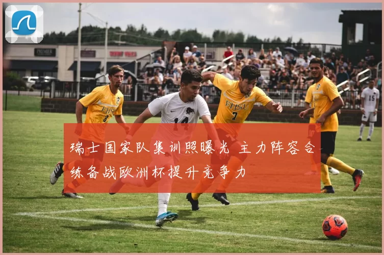 瑞士国家队集训照曝光 主力阵容合练备战欧洲杯提升竞争力